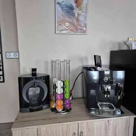 Puchfrie Appartement *